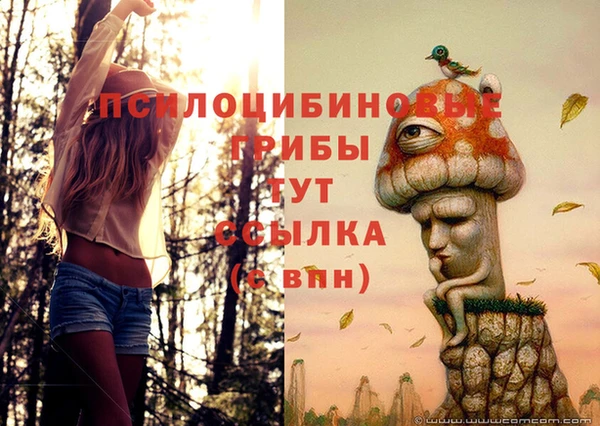 PSILOCYBIN Бугульма