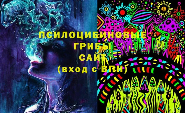 PSILOCYBIN Бугульма